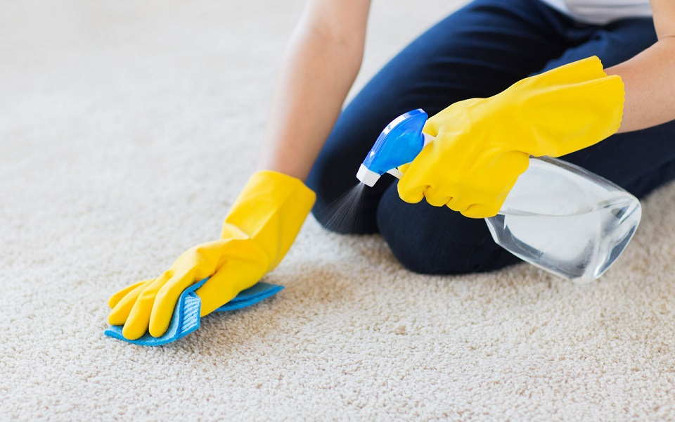 5 Simple Steps To Steam Cleaning Your Carpets Properly