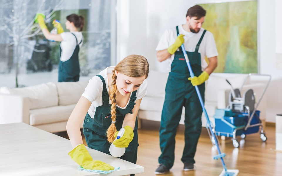 7 Tasks You Should Complete Prior To Your Carpets Being Professionally Cleaned